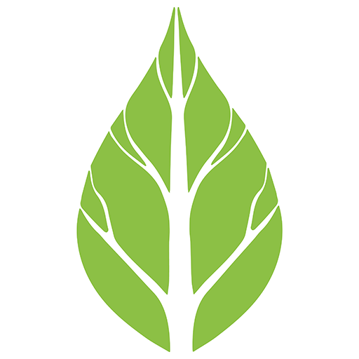 Verdery Forestry Site